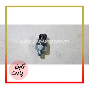 فشنگی روغن تویوتا لندکروز