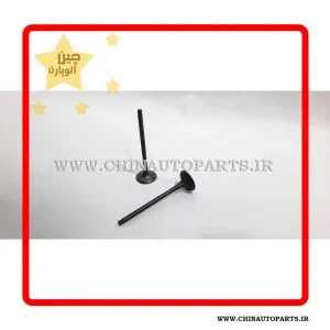 سوپاپ گریت وال ولکس c30