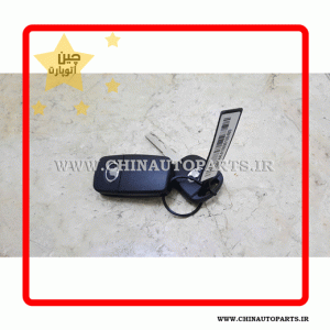 ریموت گریت وال ولکس C30
