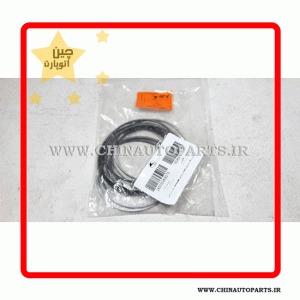 رینگ موتور لیفان 820