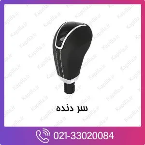 سر دنده کیا ریو