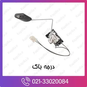 درجه باک کیا ریو