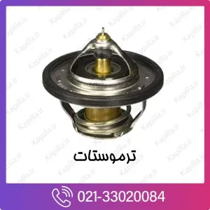 ترموستات کیا ریو