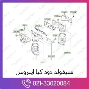 منیفولد دود کیا اپیروس