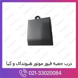 درب جعبه فیوز کیا کارناوال