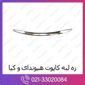 زه لبه کاپوت هیوندای النترا