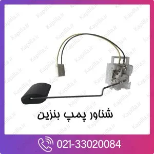درجه باک کیا کارناوال