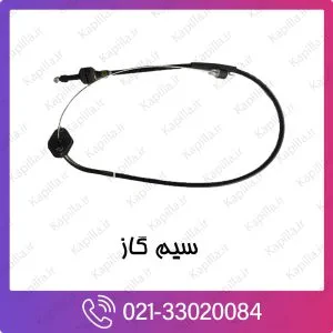 سیم گاز کیا کارناوال