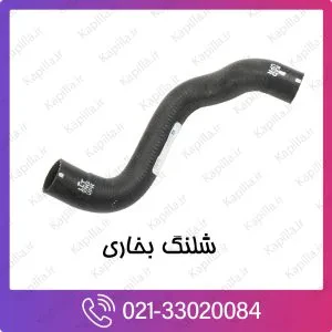 شیلنگ بخاری کیا کارناوال