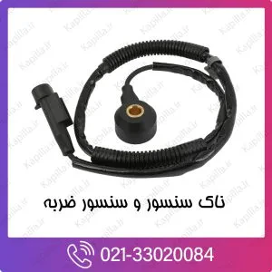 سنسور ناک کیا ریو