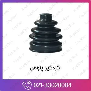 گردگیر پلوس کیا ریو