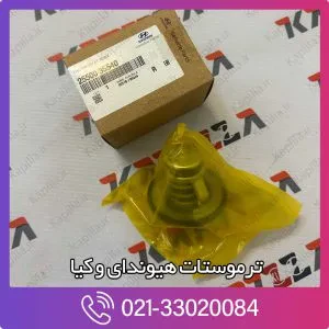 ترموستات سانتافه ix45