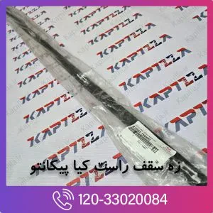 زه سقف راست کیا پیکانتو
