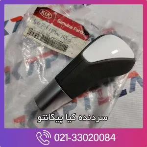 سر دنده کیا پیکانتو