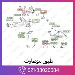 طبق کیا موهاوی