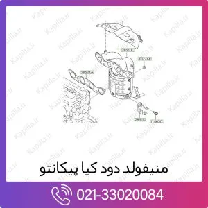 منیفولد دود کیا پیکانتو