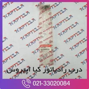 درب رادیاتور کیا اپیروس