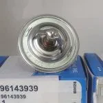 ترموستات دوو ریسر