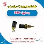 فشنگی آب بسترن B30