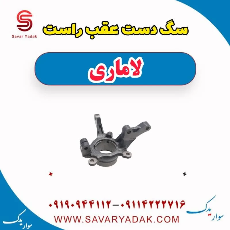 سگ دست عقب چپ لاماری