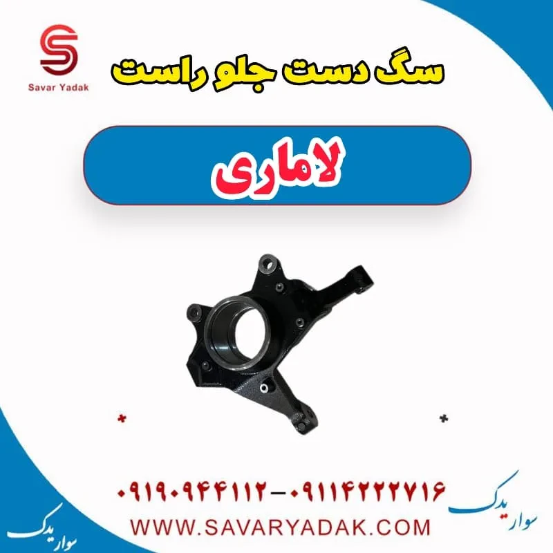 سگ دست جلو چپ لاماری