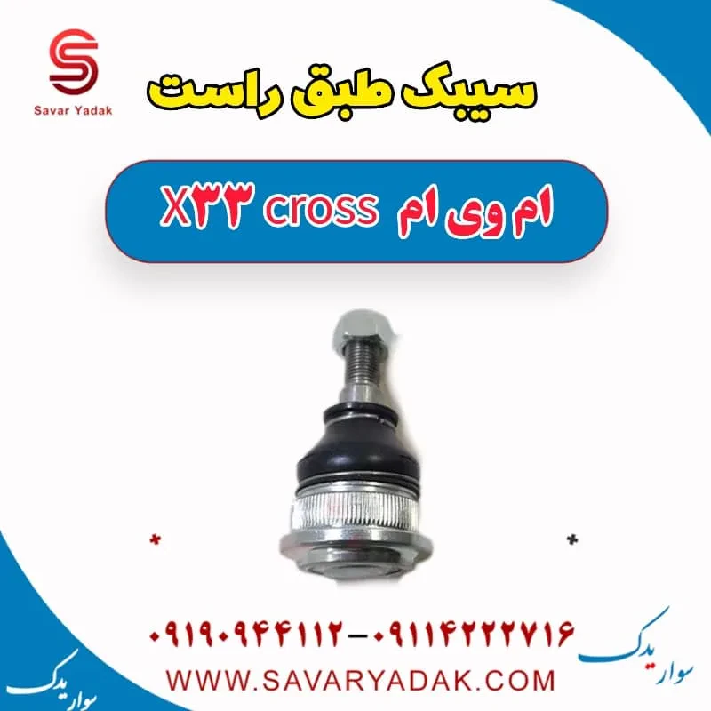 سیبک طبق ام وی ام X33