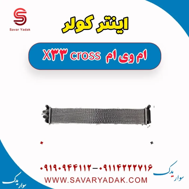 اینترکولر ام وی ام X33