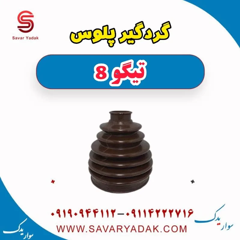 گردگیر پلوس تیگو 8