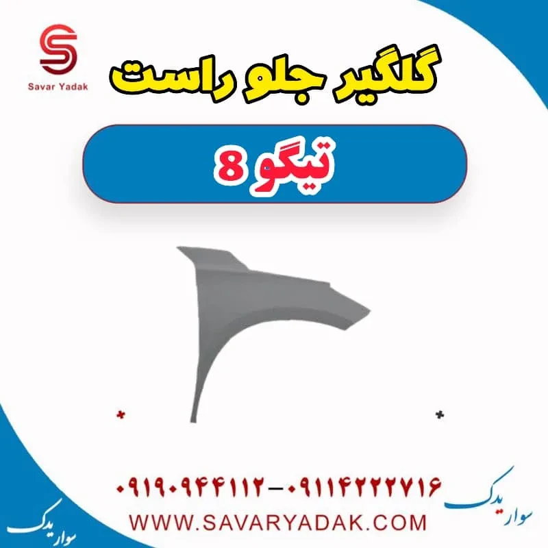 گلگیر جلو فونیکس تیگو 8