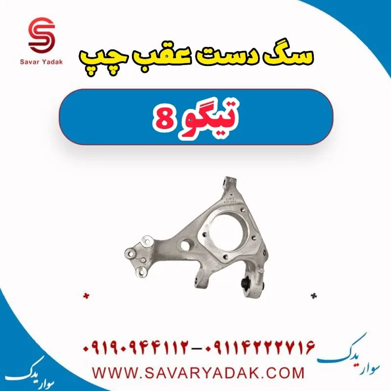 سگ دست عقب چپ تیگو 8