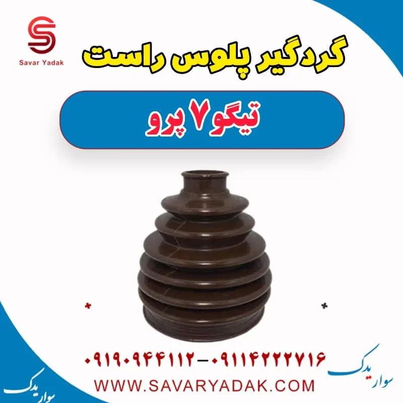 گردگیر پلوس چپ تیگو7