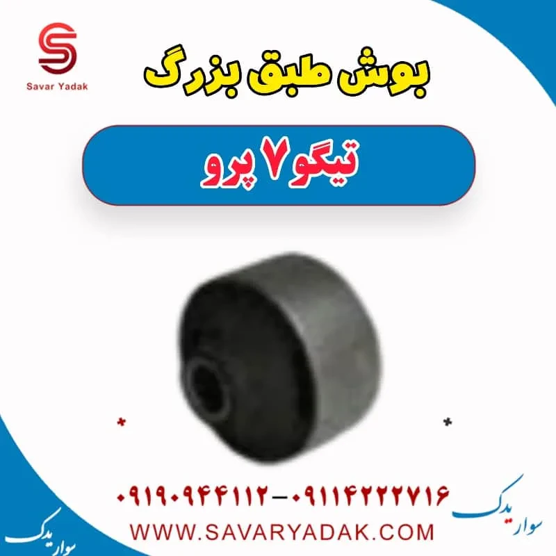 بوش طبق بزرگ تیگو7