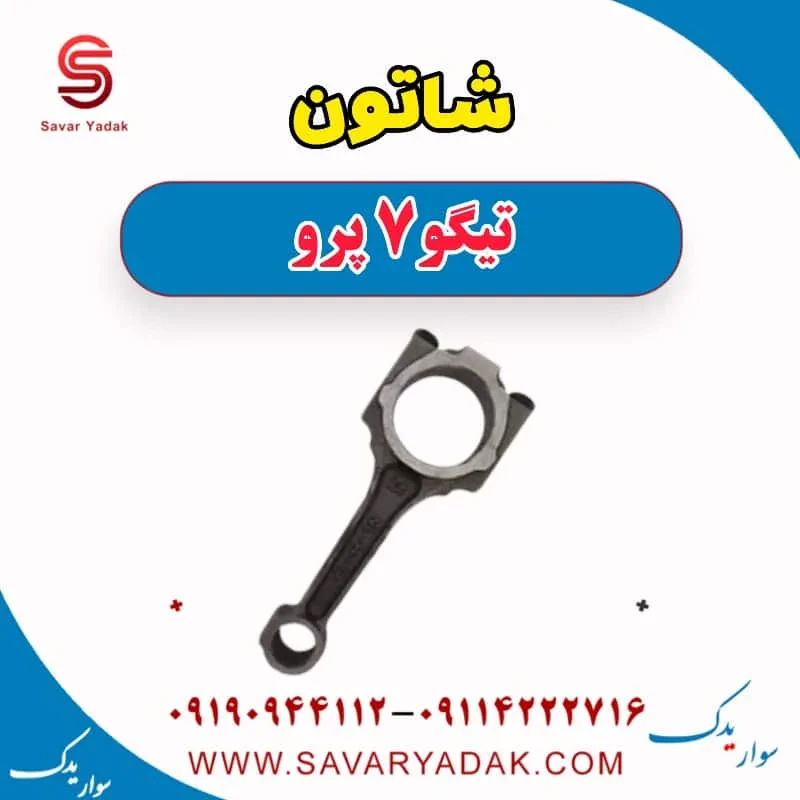 شاتون تیگو7