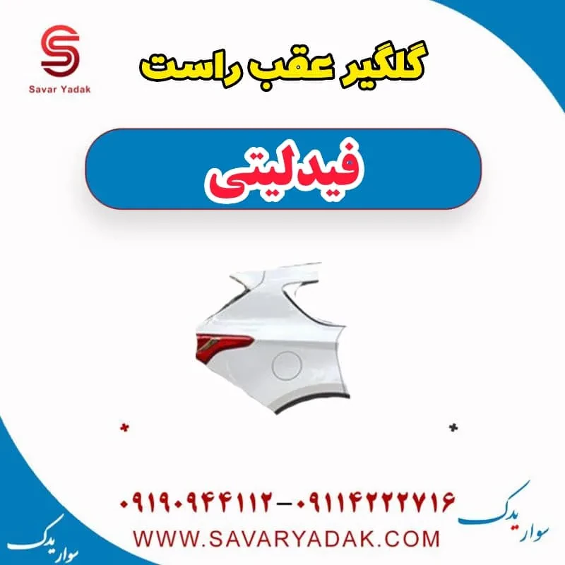 گلگیر عقب چپ فیدلیتی