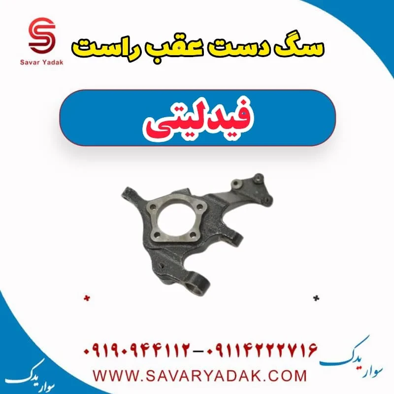 سگ دست عقب راست فیدلیتی