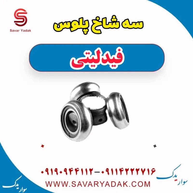 سه شاخ پلوس فیدلیتی