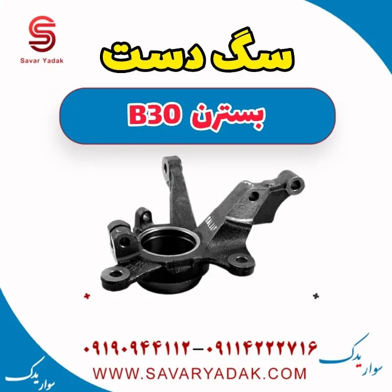 سگ دست بسترن B30