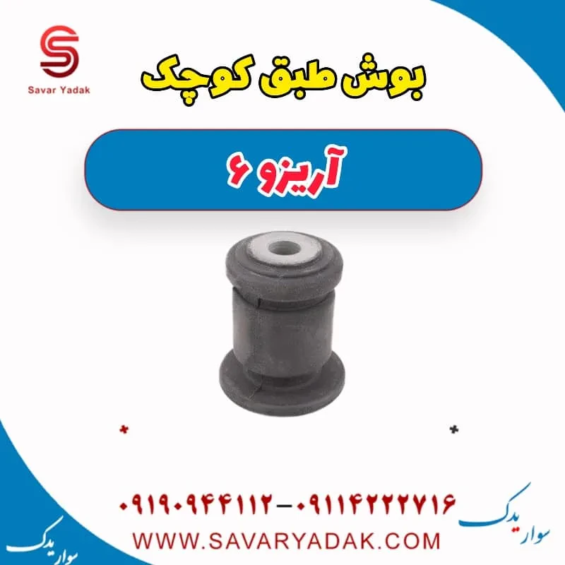 بوش طبق بزرگ آریزو 6