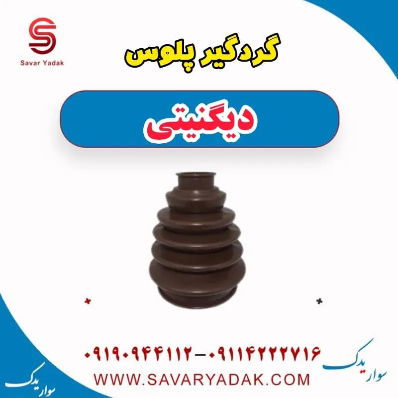 گردگیر پلوس دیگنیتی