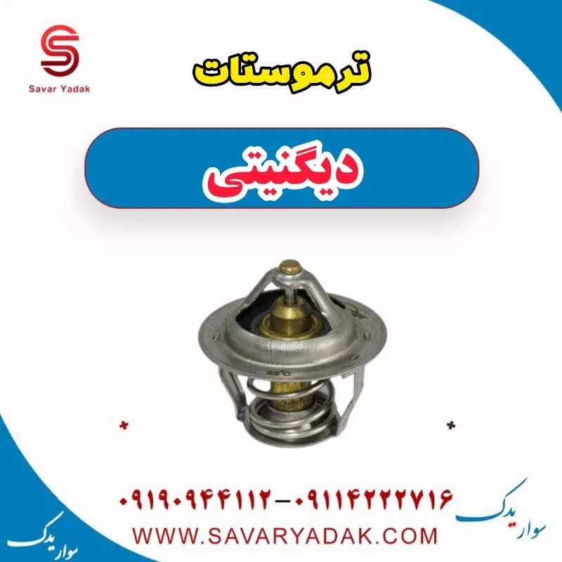 هوزیتگ ترموستات دیگنیتی