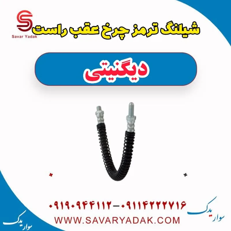 شیلنگ ترمز چرخ عقب چپ دیگنیتی