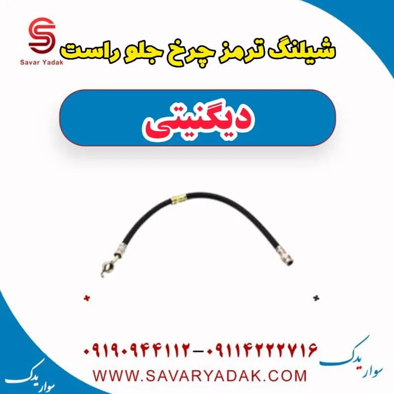 شیلنگ ترمز چرخ جلو چپ دیگنیتی