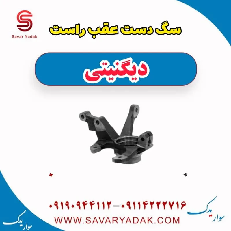 سگ دست عقب چپ دیگنیتی