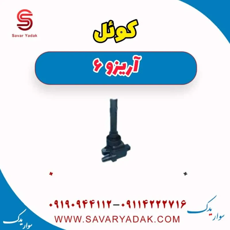 کوئل آریزو 6