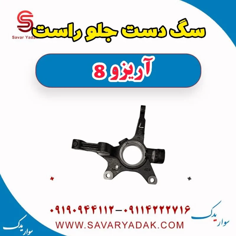 سگ دست جلو راست آریزو 8