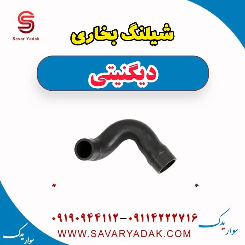 شیلنگ بخاری دیگنیتی