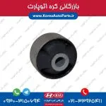 بوش طبق ولستر