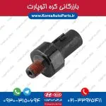 فشنگی روغن سانتافه