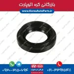 کاسه نمد پلوس سانتافه