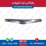 زه لبه کاپوت ورنا